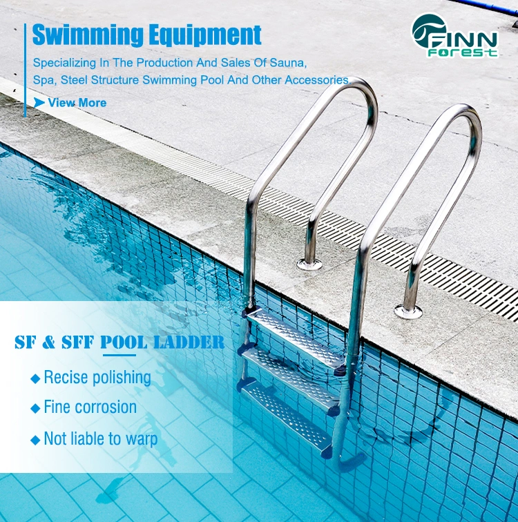 High Quality Swimming Pool Equipment Stainless Steel Ladder